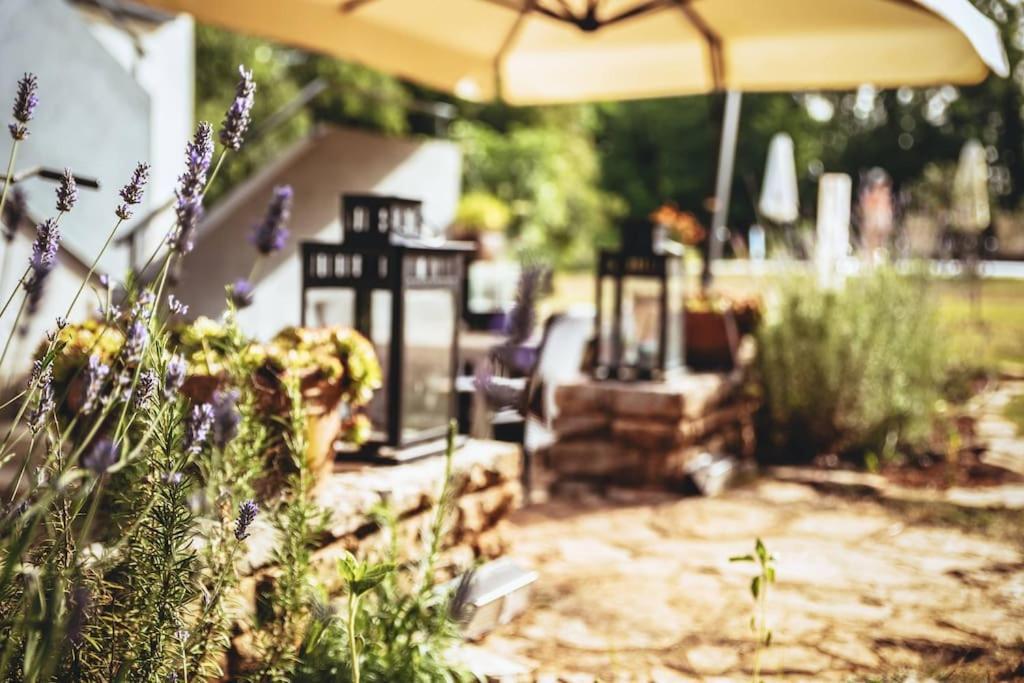 Luxury Villa Cetiri Hrasta Pićan Eksteriør billede