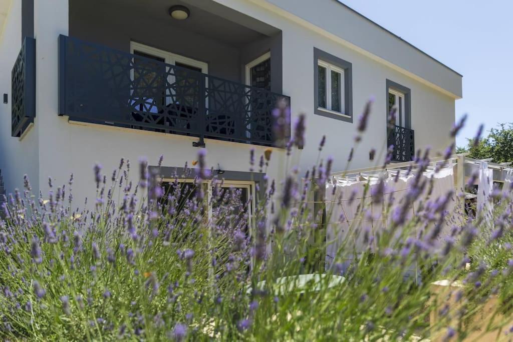 Luxury Villa Cetiri Hrasta Pićan Eksteriør billede